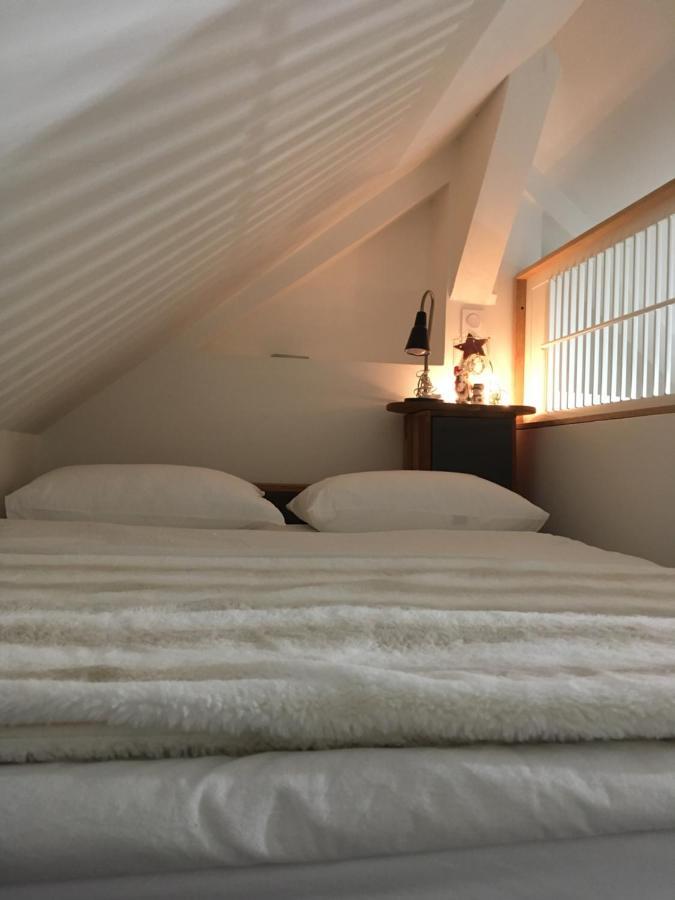 Logement Climatisé Erdre Rivière La Chapelle-Sur-Erdre Exterior foto