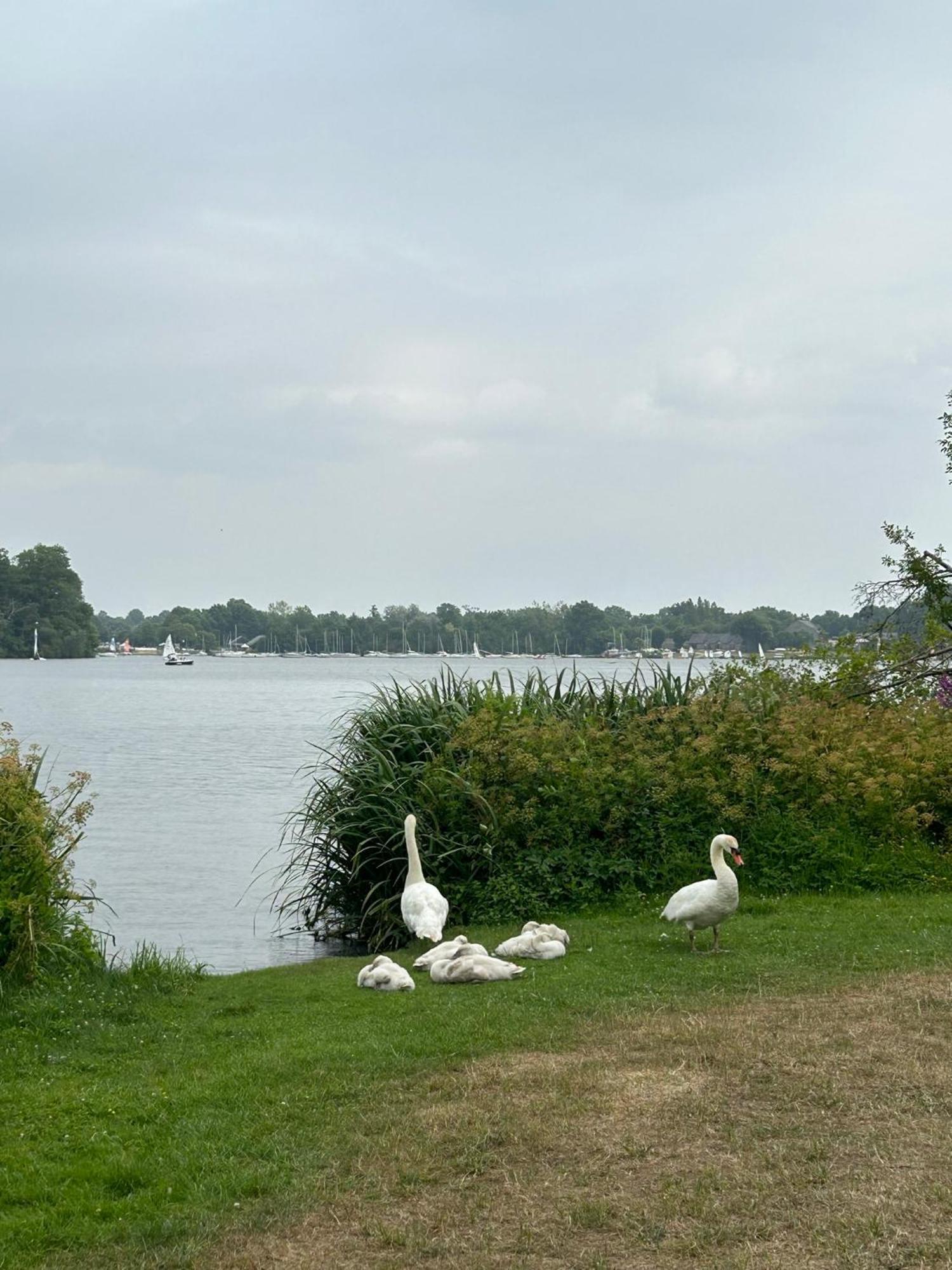 Logement Climatisé Erdre Rivière La Chapelle-Sur-Erdre Exterior foto